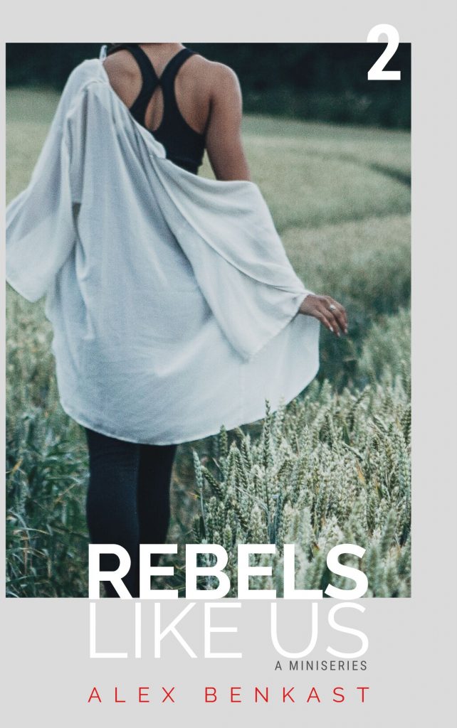 Cover Rebels Like Us Miniseries Volume 2