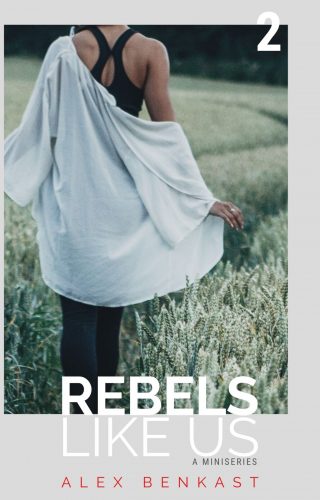 Cover – Rebels Like Us Miniseries by Alex Benkast – 2 Cover Rebels Like Us Miniseries Volume 2