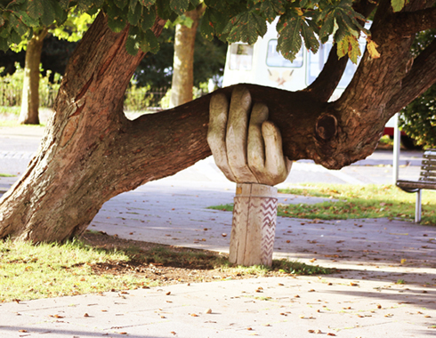 hand holding up tree