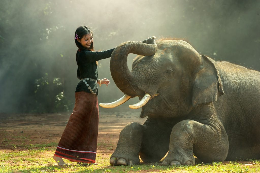 girl, elephant, petting-1822525.jpg