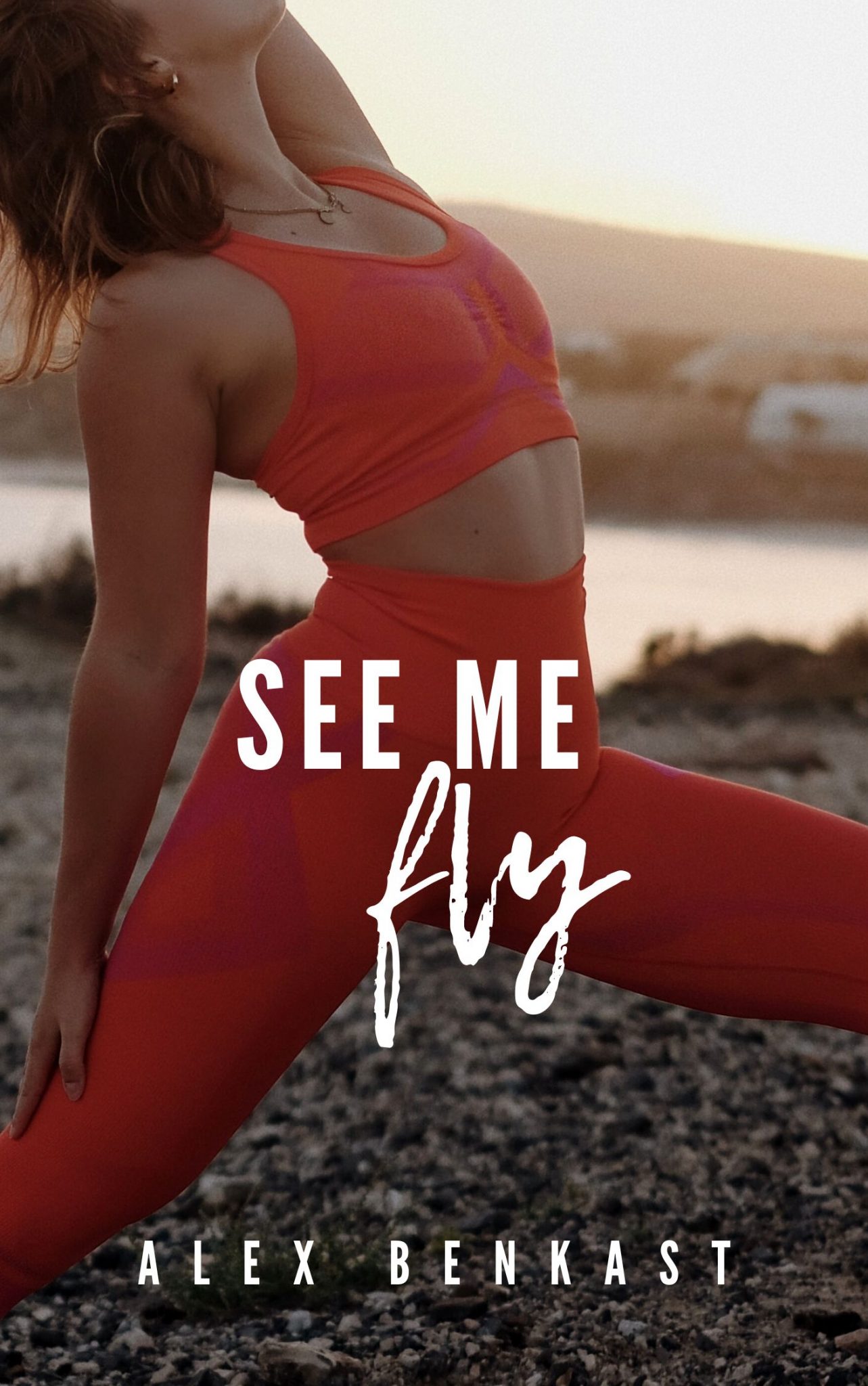 See Me Fly Book Cover by Alex Benkast