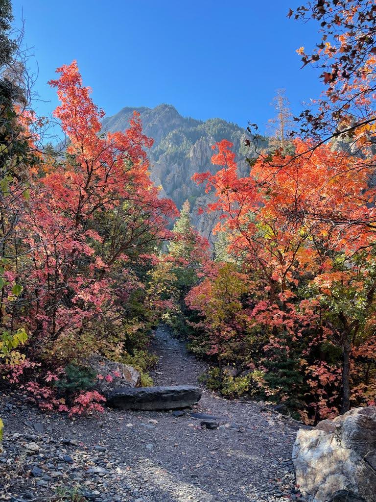 Wasatch Mountains in Fall